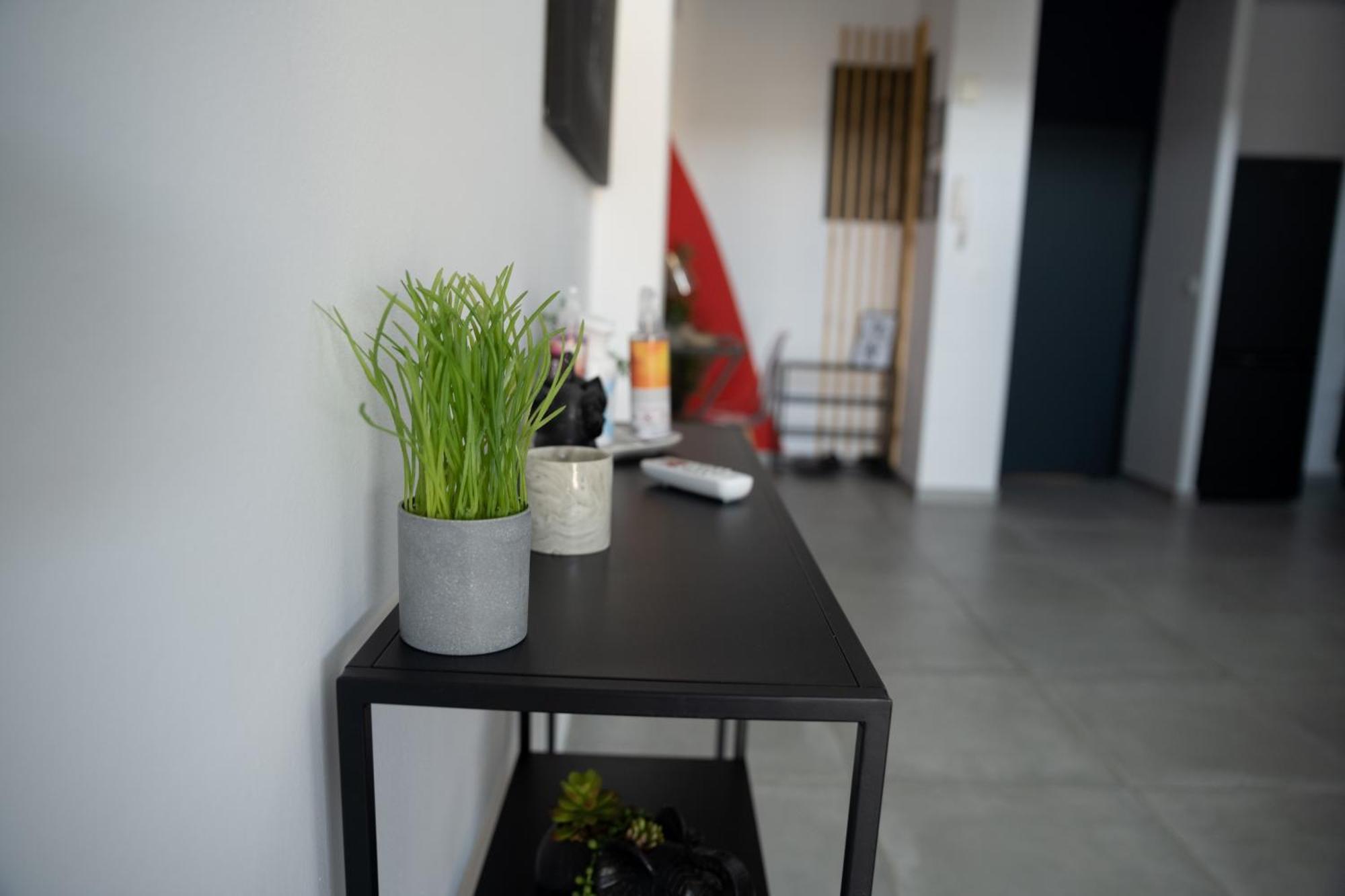 L'Elegance Citadine Lejlighed Cayenne Eksteriør billede
